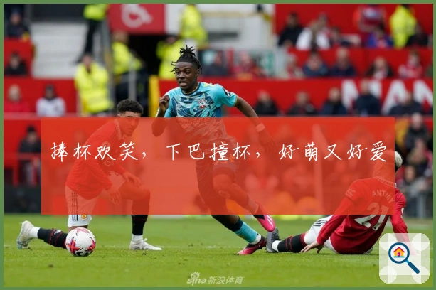 捧杯欢笑，下巴撞杯，好萌又好爱