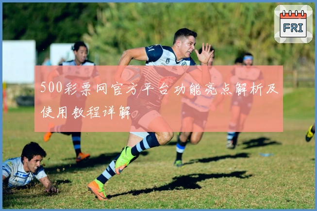 500彩票网官方平台功能亮点解析及使用教程详解